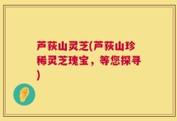 芦荻山灵芝(芦荻山珍稀灵芝瑰宝，等您探寻)