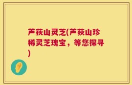 芦荻山灵芝(芦荻山珍稀灵芝瑰宝，等您探寻)