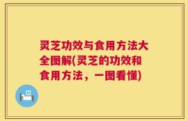 灵芝功效与食用方法大全图解(灵芝的功效和食用方法，一图看懂)