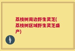 荔枝树周边野生灵芝(荔枝树区域野生灵芝盛产)