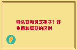 猴头菇和灵芝孢子？野生菌和蘑菇的区别