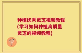 种植优秀灵芝视频教程(学习如何种植高质量灵芝的视频教程)