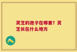 灵芝的孢子在哪里？灵芝长在什么地方