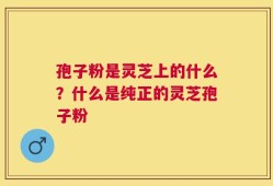 孢子粉是灵芝上的什么？什么是纯正的灵芝孢子粉