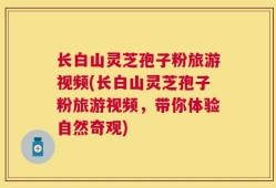 长白山灵芝孢子粉旅游视频(长白山灵芝孢子粉旅游视频，带你体验自然奇观)