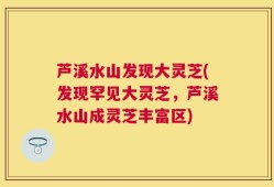芦溪水山发现大灵芝(发现罕见大灵芝，芦溪水山成灵芝丰富区)