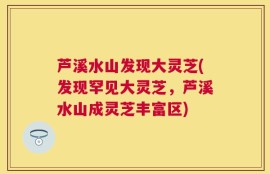 芦溪水山发现大灵芝(发现罕见大灵芝，芦溪水山成灵芝丰富区)