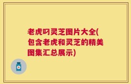 老虎叼灵芝图片大全(包含老虎和灵芝的精美图集汇总展示)
