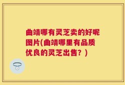 曲靖哪有灵芝卖的好呢图片(曲靖哪里有品质优良的灵芝出售？)
