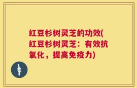 红豆杉树灵芝的功效(红豆杉树灵芝：有效抗氧化，提高免疫力)