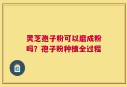 灵芝孢子粉可以磨成粉吗？孢子粉种植全过程