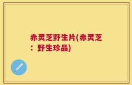 赤灵芝野生片(赤灵芝：野生珍品)