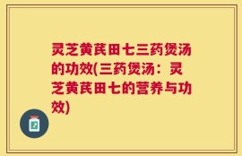 灵芝黄芪田七三药煲汤的功效(三药煲汤：灵芝黄芪田七的营养与功效)