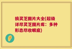 摘灵芝图片大全(超级详尽灵芝图片库：多种形态尽收眼底)
