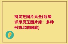 摘灵芝图片大全(超级详尽灵芝图片库：多种形态尽收眼底)