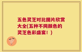 五色灵芝对比图片欣赏大全(五种不同颜色的灵芝色彩盛宴！)