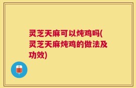 灵芝天麻可以炖鸡吗(灵芝天麻炖鸡的做法及功效)