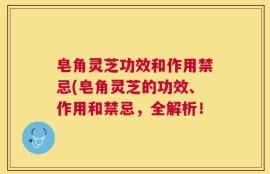 皂角灵芝功效和作用禁忌(皂角灵芝的功效、作用和禁忌，全解析！