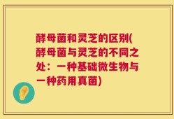 酵母菌和灵芝的区别(酵母菌与灵芝的不同之处：一种基础微生物与一种药用真菌)