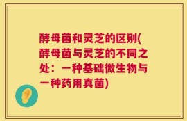 酵母菌和灵芝的区别(酵母菌与灵芝的不同之处：一种基础微生物与一种药用真菌)