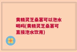 黄精灵芝桑葚可以泡水喝吗(黄精灵芝桑葚可直接泡水饮用)