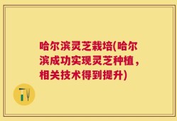 哈尔滨灵芝栽培(哈尔滨成功实现灵芝种植，相关技术得到提升)