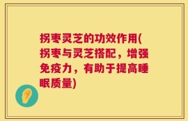 拐枣灵芝的功效作用(拐枣与灵芝搭配，增强免疫力，有助于提高睡眠质量)