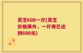 灵芝600一斤(灵芝价格飙升，一斤现已达到600元)