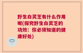 野生白灵芝有什么作用呢(探究野生白灵芝的功效：你必须知道的健康好处)
