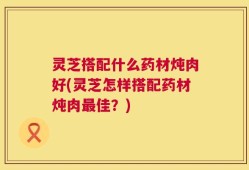 灵芝搭配什么药材炖肉好(灵芝怎样搭配药材炖肉最佳？)