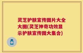 灵芝护肤宣传图片大全大图(灵芝神奇功效显示护肤宣传图大集合)