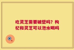 吃灵芝需要破壁吗？枸杞和灵芝可以泡水喝吗