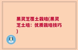 黑灵芝覆土栽培(黑灵芝土培：优质栽培技巧)