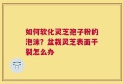 如何软化灵芝孢子粉的泡沫？盆栽灵芝表面干裂怎么办