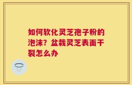 如何软化灵芝孢子粉的泡沫？盆栽灵芝表面干裂怎么办