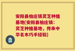 安阳县柏庄镇灵芝种植基地(安阳县柏庄镇：灵芝种植基地，传承中华名木巧手经验)