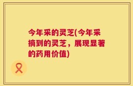 今年采的灵芝(今年采摘到的灵芝，展现显著的药用价值)