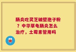 肠炎吃灵芝破壁孢子粉 ？中华草龟肠炎怎么治疗，土霉素管用吗