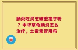 肠炎吃灵芝破壁孢子粉 ？中华草龟肠炎怎么治疗，土霉素管用吗