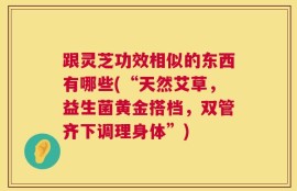 跟灵芝功效相似的东西有哪些(“天然艾草，益生菌黄金搭档，双管齐下调理身体”)