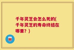 千年灵芝会怎么死的(千年灵芝的寿命终结在哪里？)