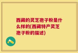 西藏的灵芝孢子粉是什么样的(西藏特产灵芝孢子粉的描述)