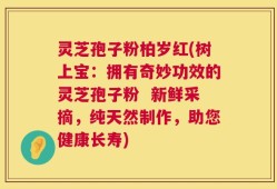 灵芝孢子粉柏岁红(树上宝：拥有奇妙功效的灵芝孢子粉  新鲜采摘，纯天然制作，助您健康长寿)