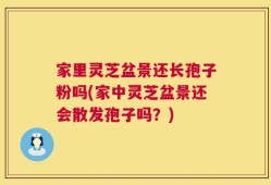 家里灵芝盆景还长孢子粉吗(家中灵芝盆景还会散发孢子吗？)