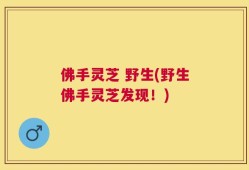 佛手灵芝 野生(野生佛手灵芝发现！)