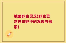 地里野生灵芝(野生灵芝在田野中的发现与探索)