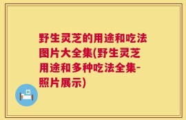 野生灵芝的用途和吃法图片大全集(野生灵芝用途和多种吃法全集-照片展示)
