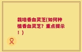 栽培香血灵芝(如何种植香血灵芝？重点提示！)