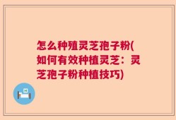 怎么种殖灵芝孢子粉(如何有效种植灵芝：灵芝孢子粉种植技巧)