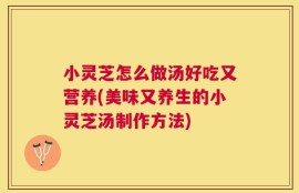 小灵芝怎么做汤好吃又营养(美味又养生的小灵芝汤制作方法)